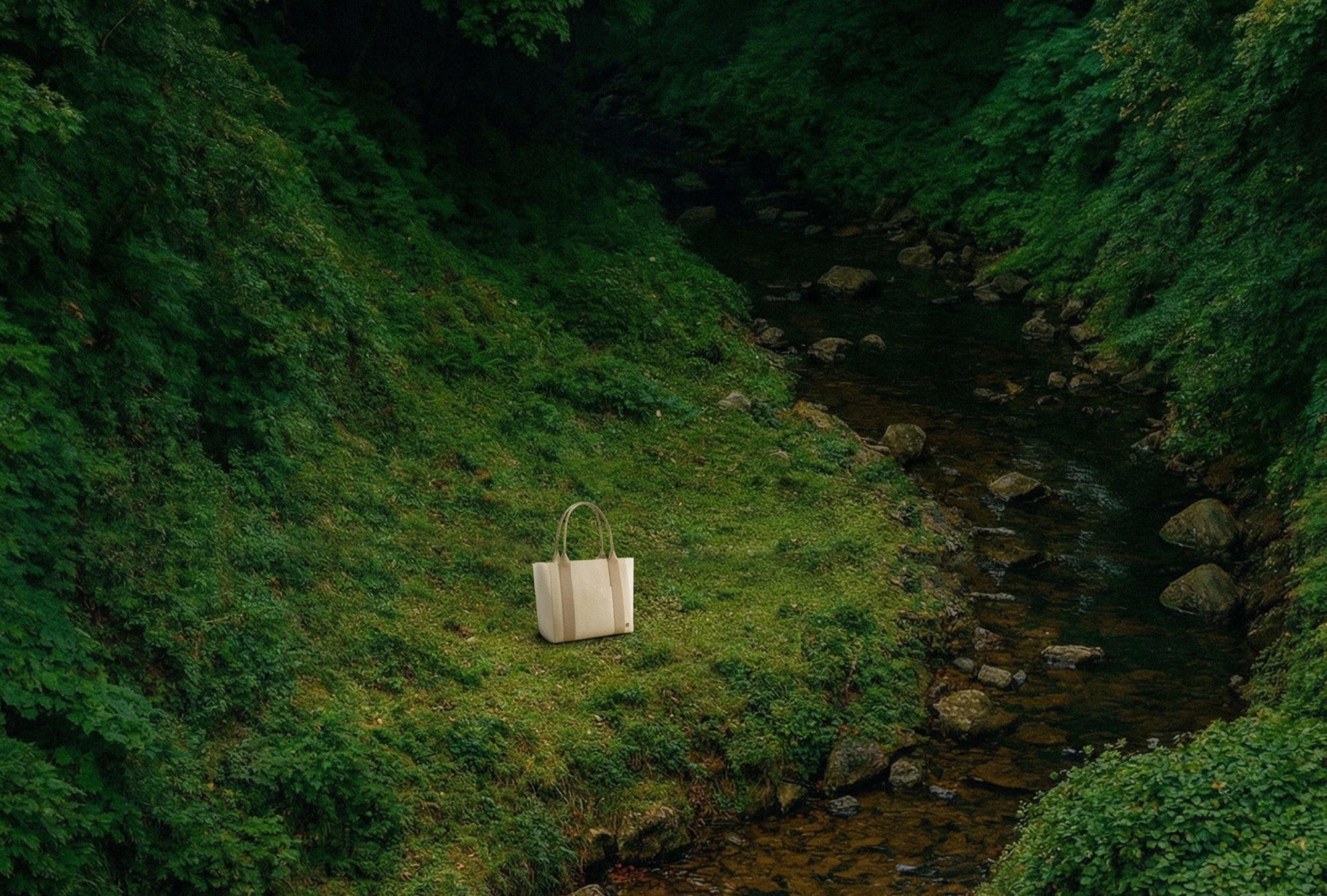 KOLEF x ReForest Now: A Small Step Toward Something Bigger